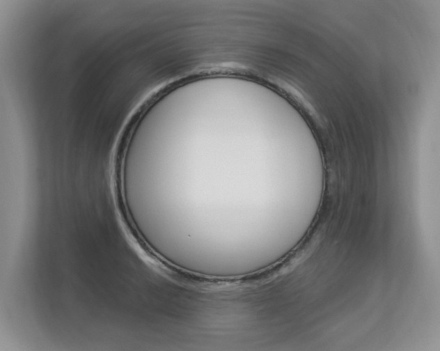 X0000112841038200908210955