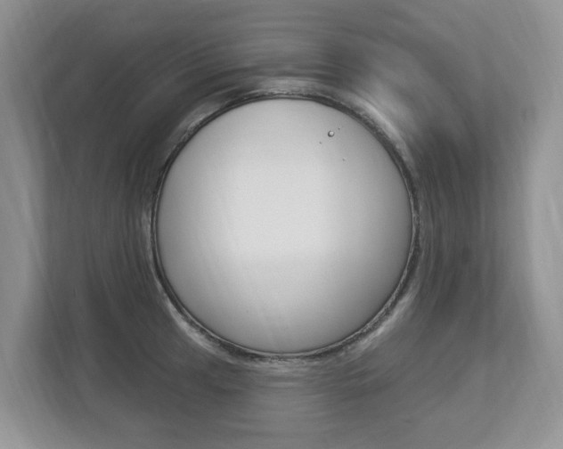 X0000112841041200908210955