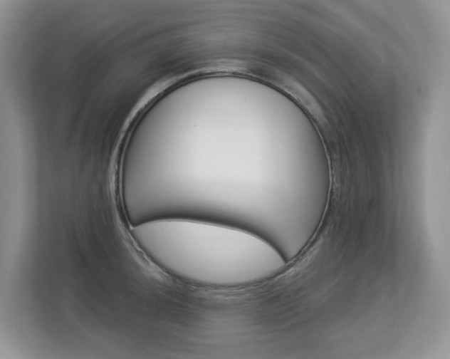 X0000112841044200908210955