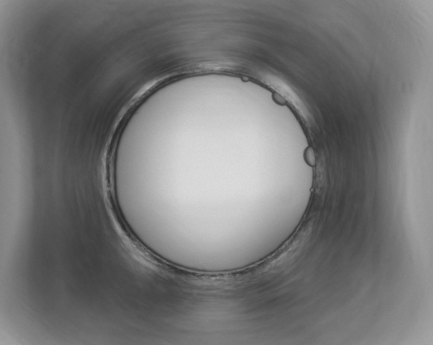 X0000112841047200908210955