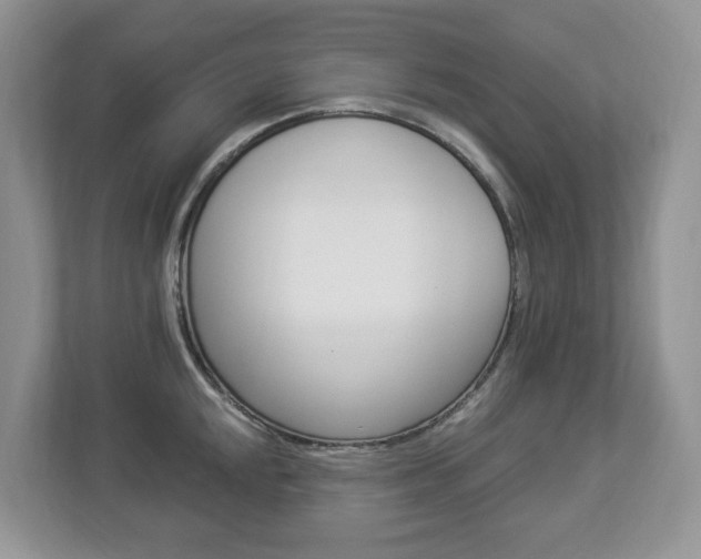 X0000112841048200908210955