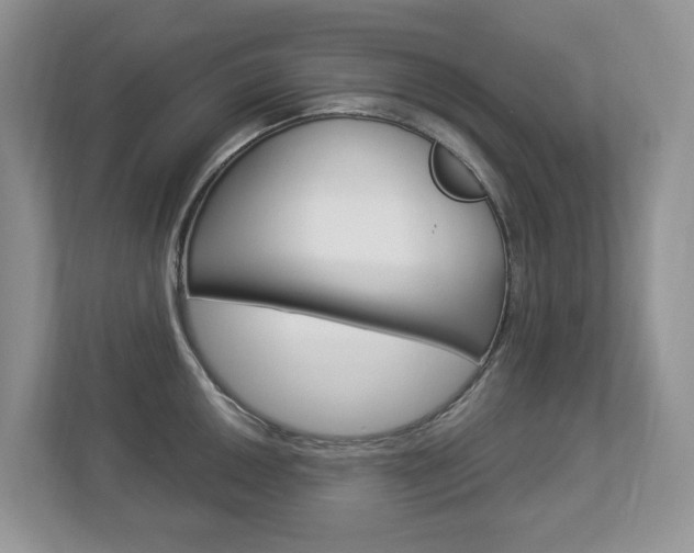 X0000112841050200908210955
