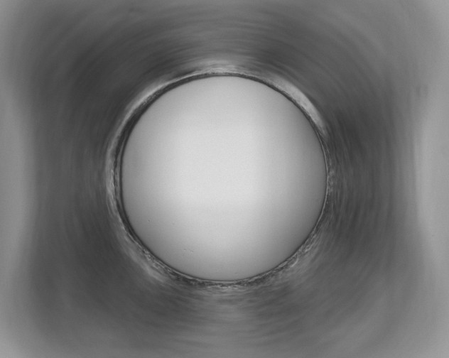 X0000112841051200908210955