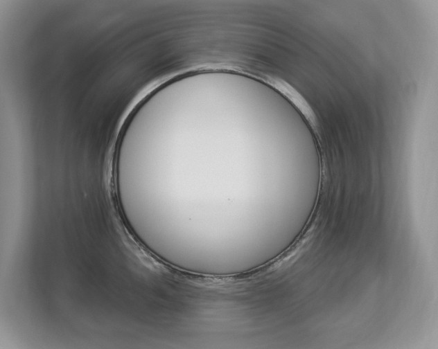 X0000112841052200908210955