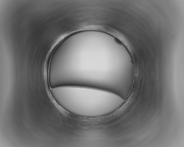 X0000112841054200908210955