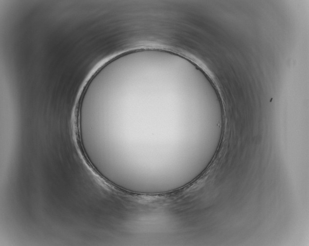 X0000112841056200908210955