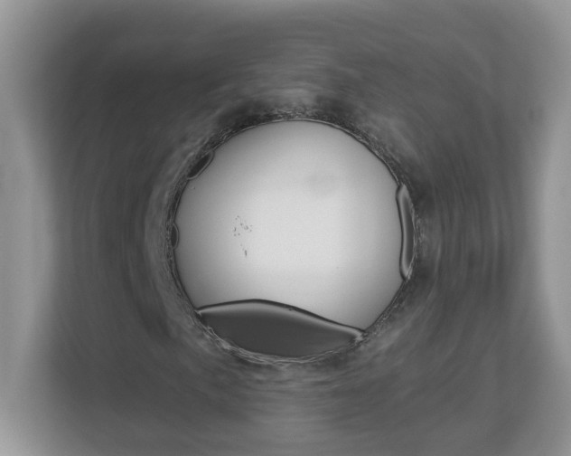 X0000112841057200908210954