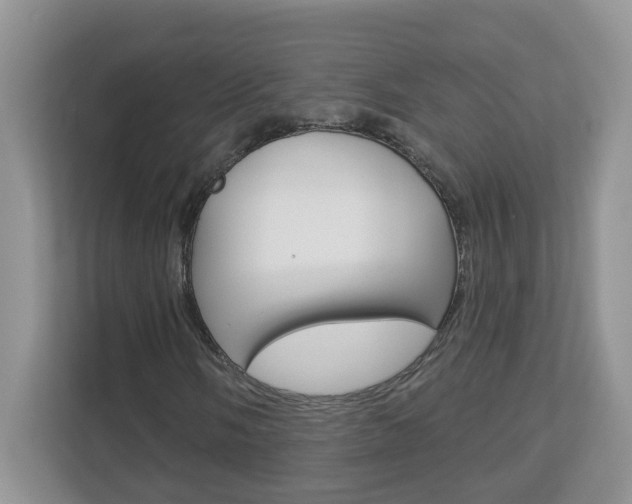 X0000112841058200908210954