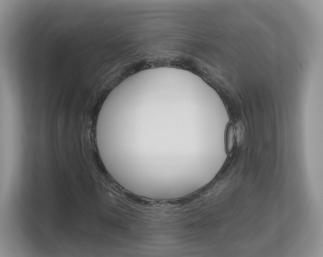 X0000112841059200908210954
