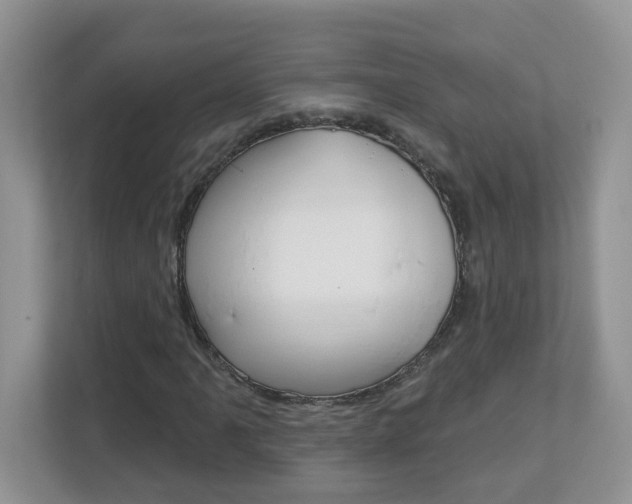 X0000112841061200908210954