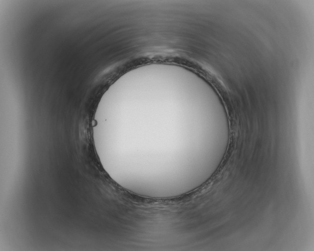 X0000112841063200908210954