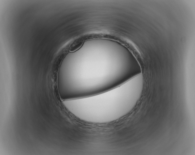 X0000112841064200908210954