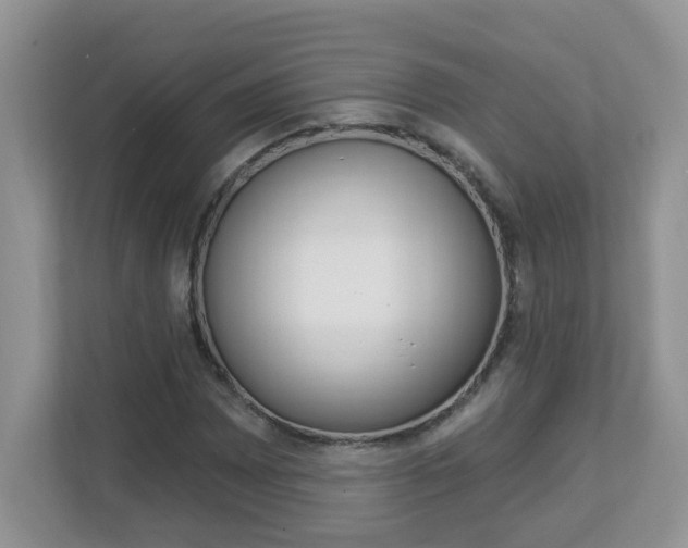 X0000112841065200908210954