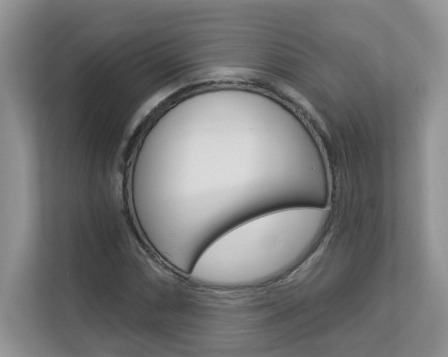 X0000112841066200908210954