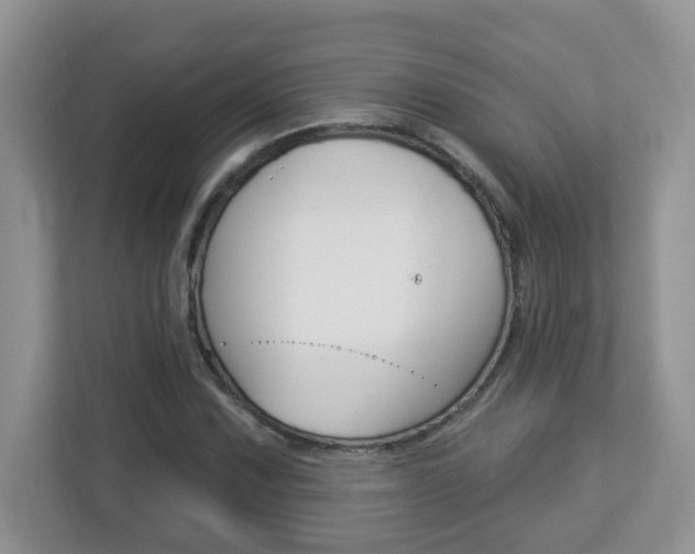 X0000112841067200908210954