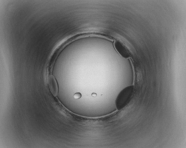 X0000112841069200908210954