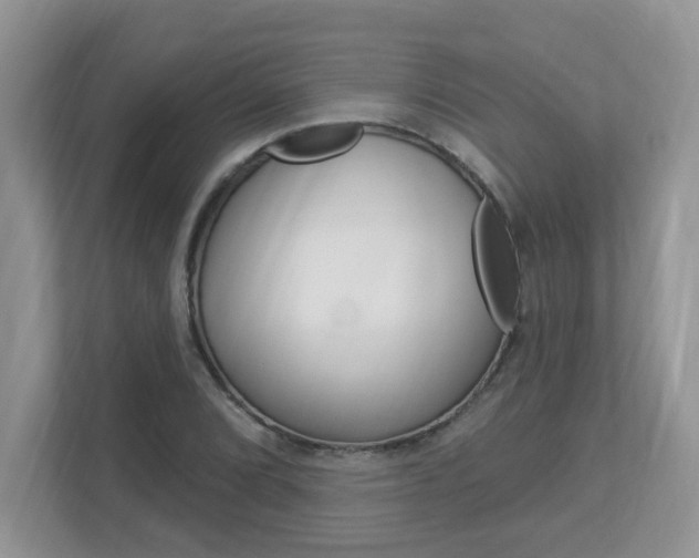 X0000112841072200908210954