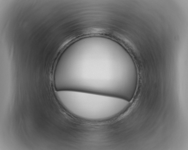 X0000112841073200908210954