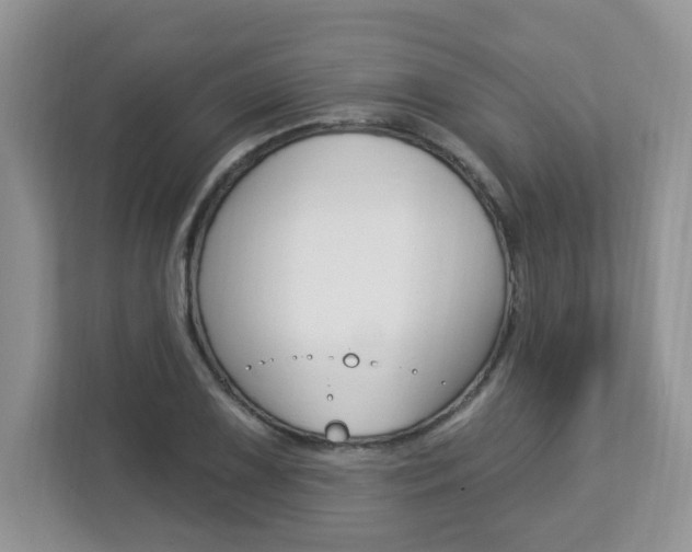 X0000112841075200908210954