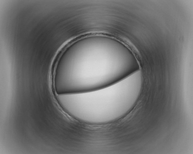 X0000112841076200908210954