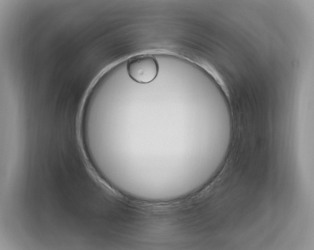 X0000112841080200908210954