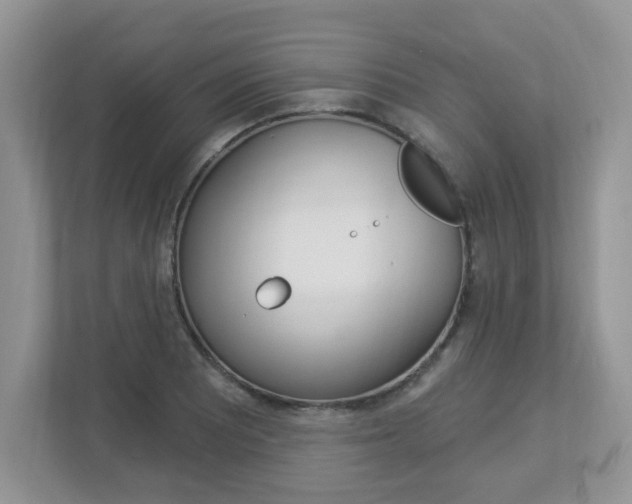 X0000112841081200908210954