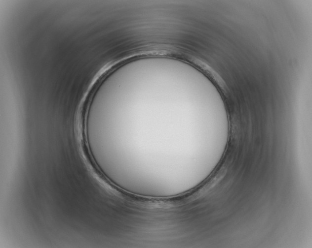 X0000112841083200908210954