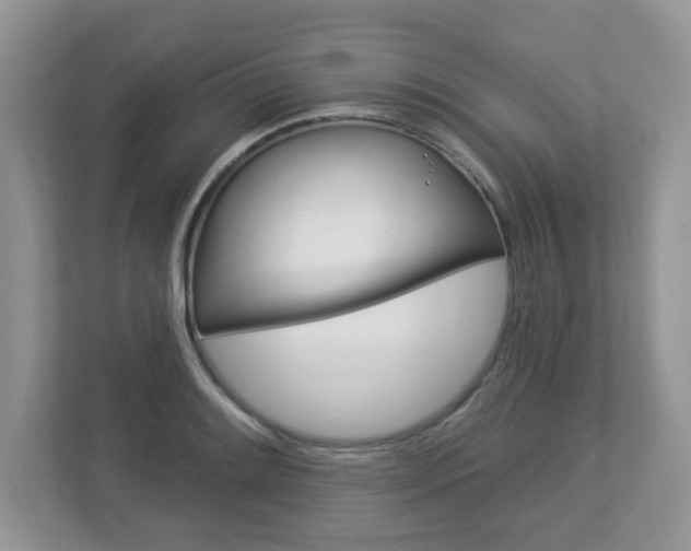 X0000112841084200908210954