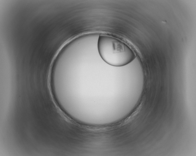 X0000112841085200908210954