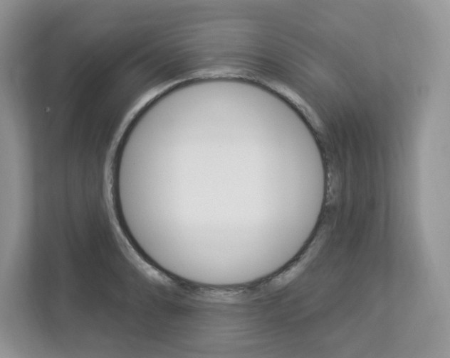 X0000112841086200908210954
