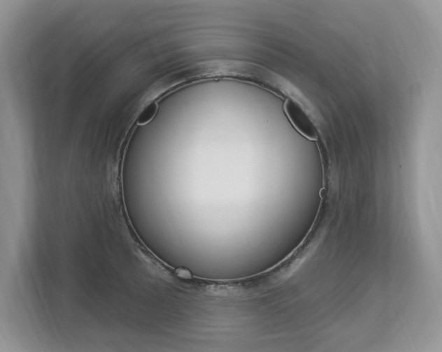 X0000112841089200908210954