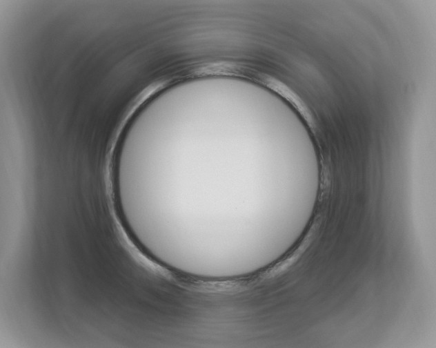 X0000112841090200908210954