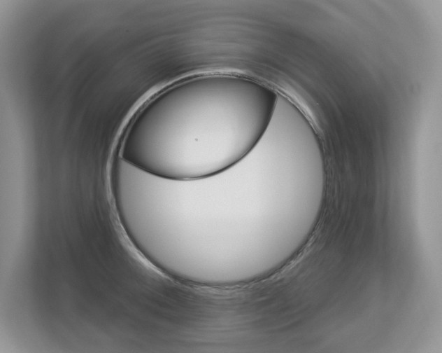 X0000112841092200908210954