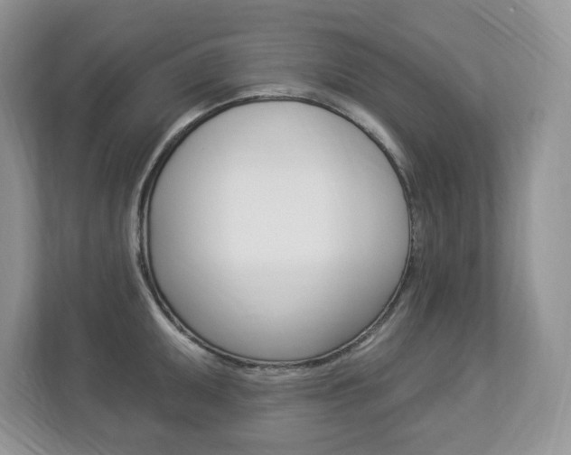 X0000112841095200908210954