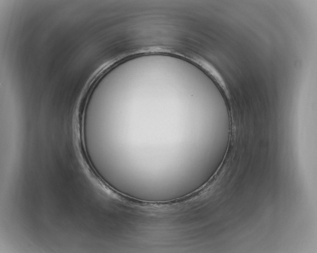 X0000112841096200908210954
