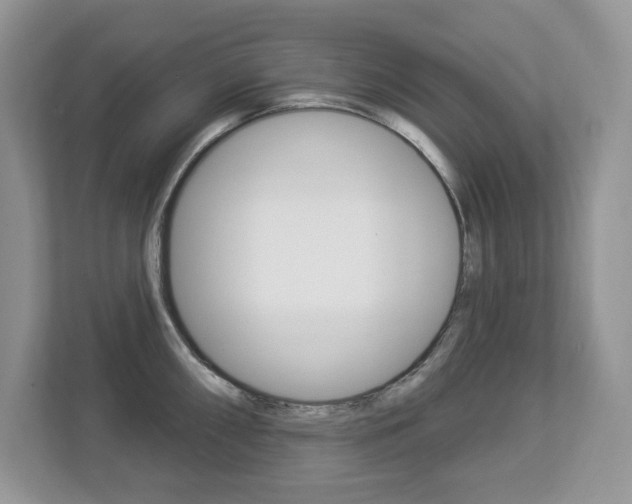 X0000112841098200908210954