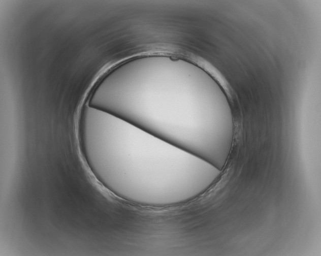X0000112841099200908210954