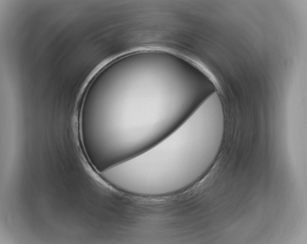 X0000112841100200908210954