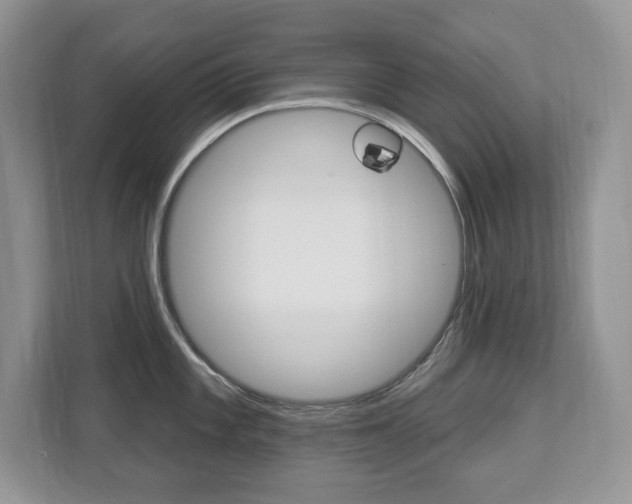 X0000112841101200908210954
