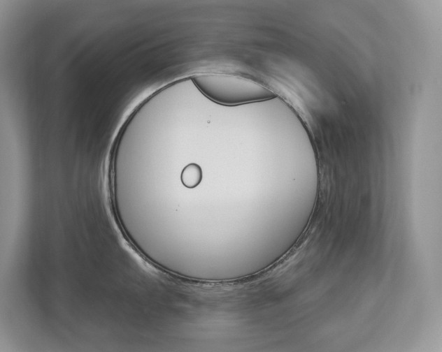 X0000112841103200908210954
