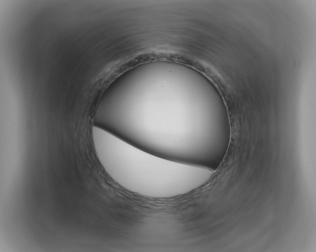 X0000112841110200908210953