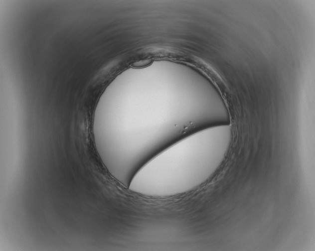 X0000112841111200908210953