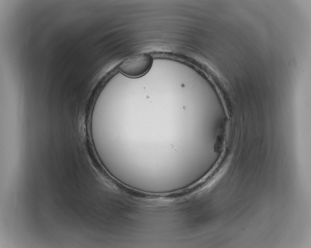 X0000112841113200908210953