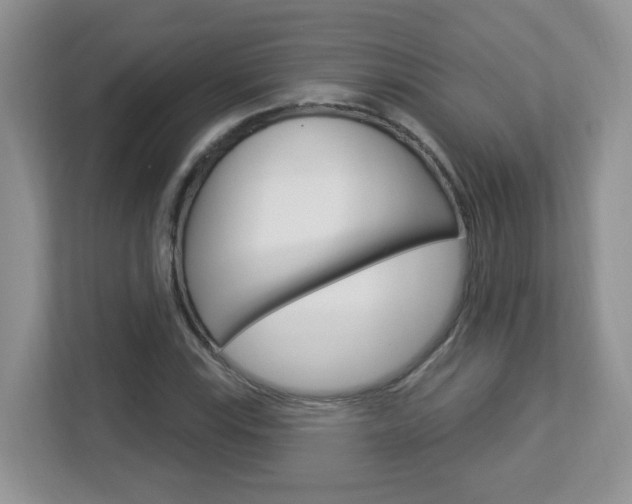 X0000112841115200908210953