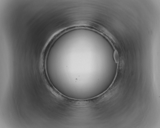 X0000112841116200908210953