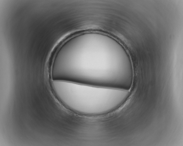 X0000112841118200908210953