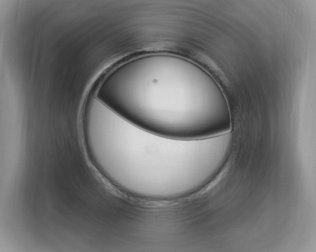 X0000112841122200908210953