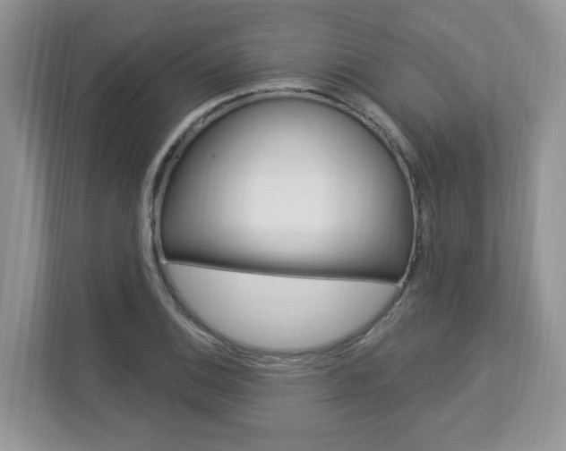 X0000112841124200908210953