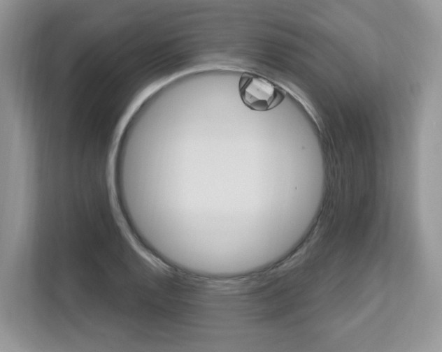 X0000112841128200908210953