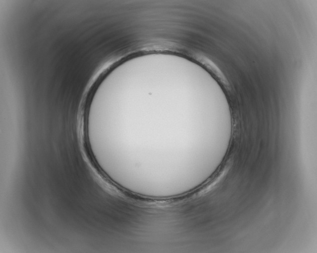 X0000112841130200908210953